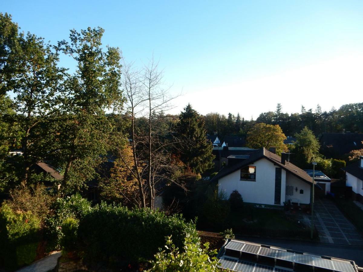 Panoramablick Nideggen